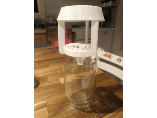 DIY Asian Hornet Trap: Build a Selective Device to Protect Bees